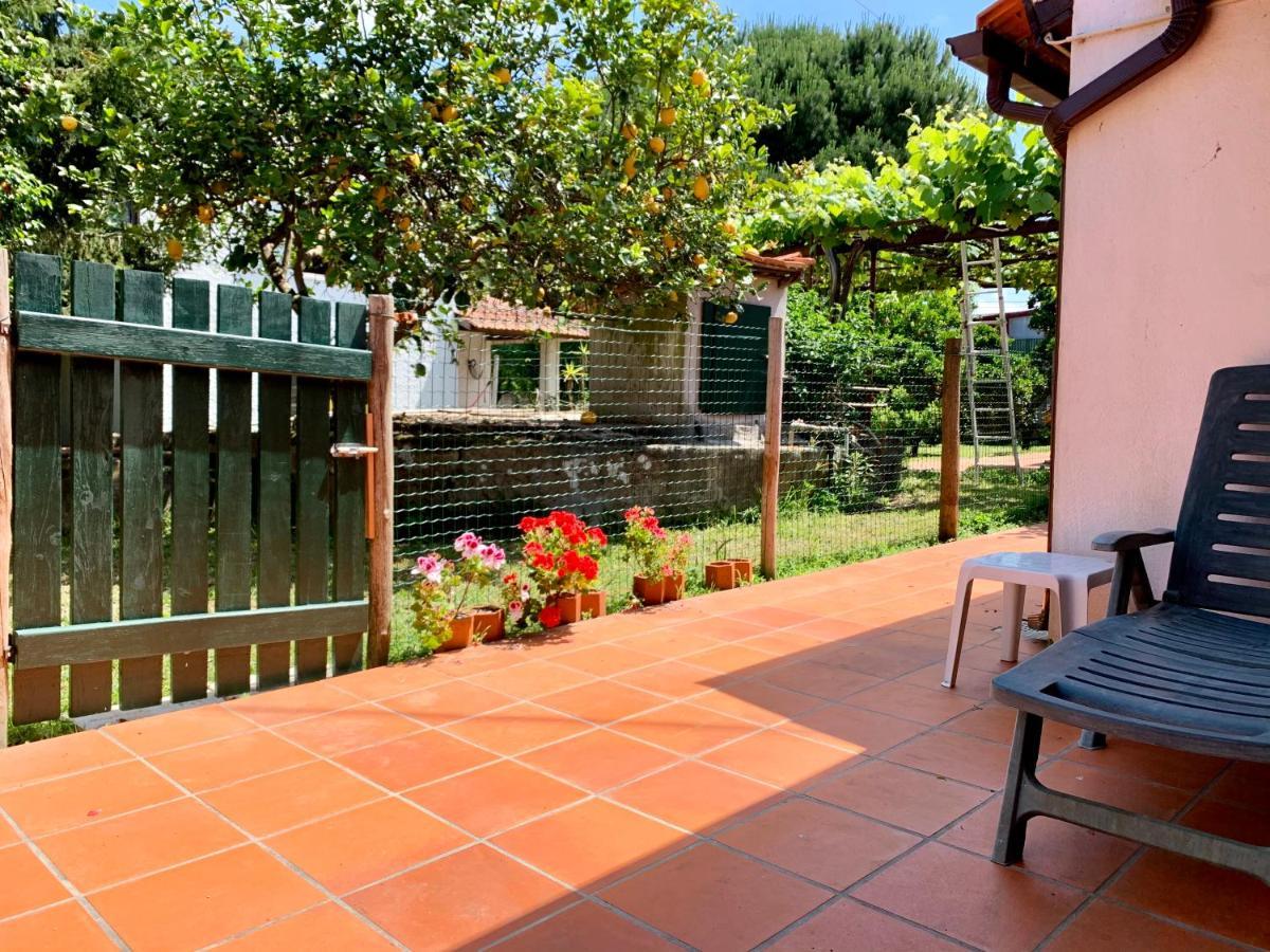 Casa Do Paco Aveiro Holidayhome Exterior foto